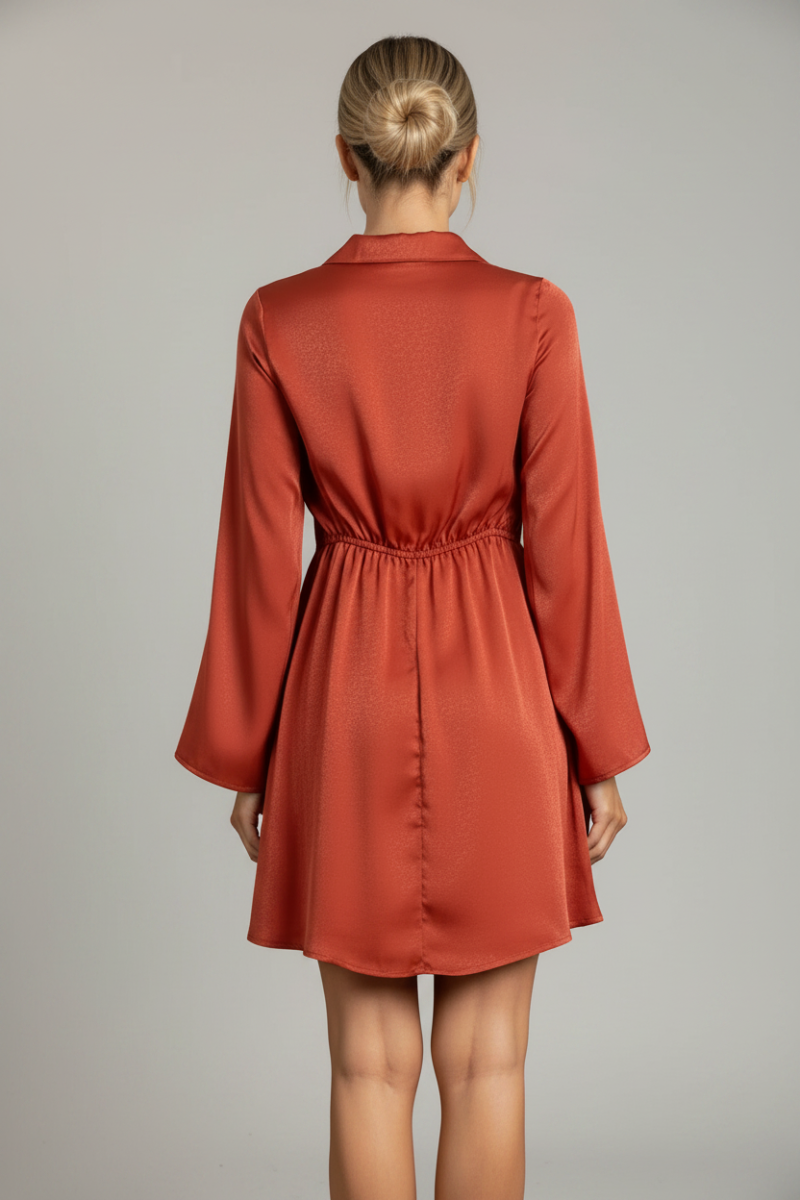 V-NECK LONG SLEEVES MIDI DRESS-DM8964