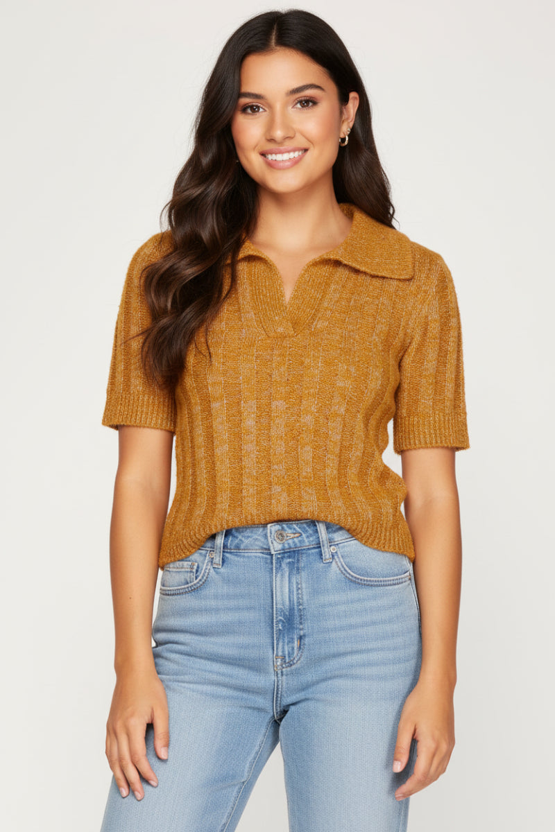 GREY COLLARED SHORT SLEEVES CROPPED KNIT TOP SKSS8236.