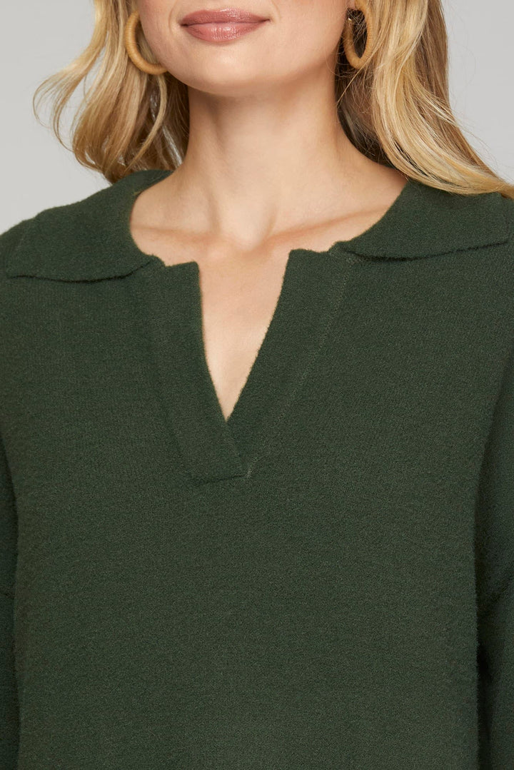 LONG SLEEVE COLLAR FUZZY SWEATER DRESS-SKSY5760R
