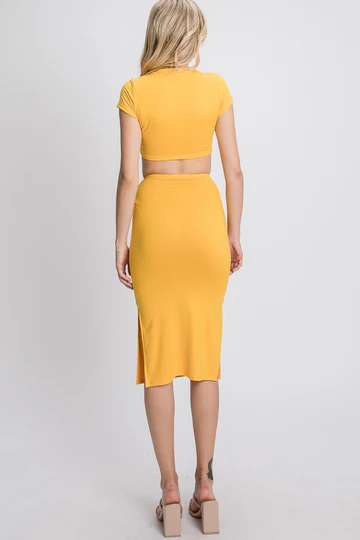 CROP TOP & SIDE SLIT ELASTIC WAIST SKIRT KNIT SET IN2028M *